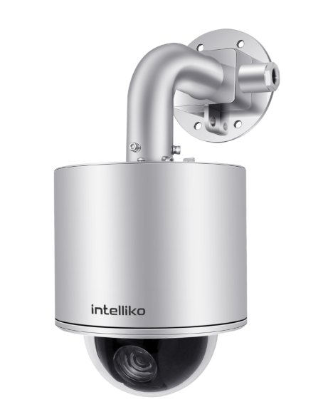 INT-VEXPTZ10A-01(RM-FA34-PZ-E01-A02)(X30) IP-камера, взрывозащищенная, купольная поворотная